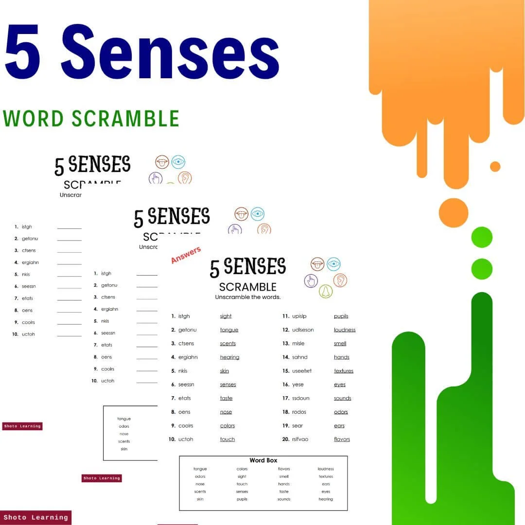 5+Senses+Title.jpg